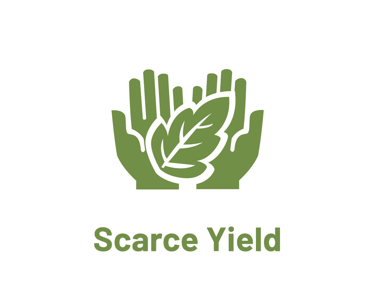 Scarce Yield