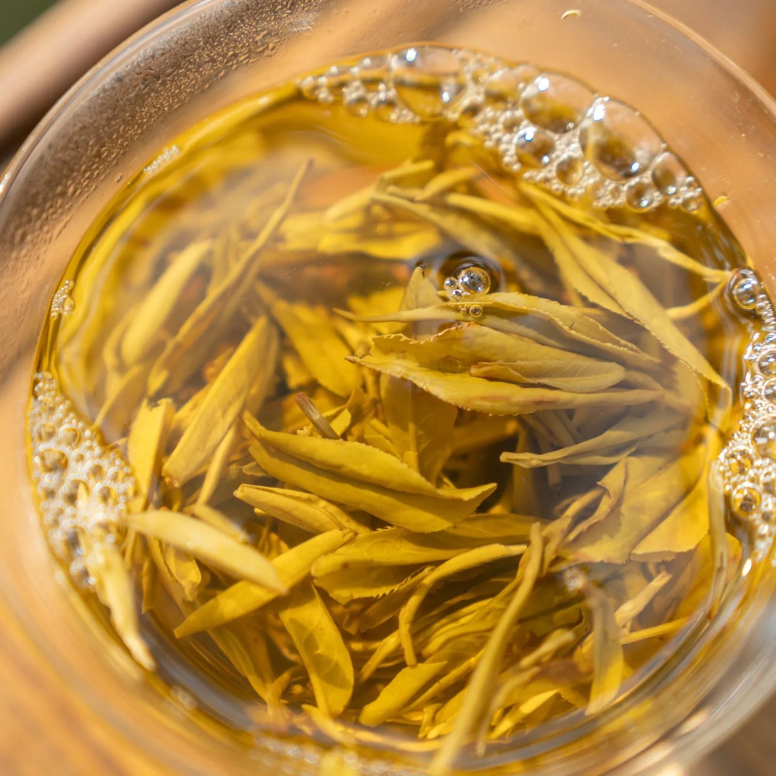 Jasmine Mao Jian | Traditional 5-Scent Jasmine Green Tea (One Bud with Two Leaves) – Pure Floral Fragrance, Rich and Sweet with Refreshing Aftertaste | Summer Harvest July 2024 from 1000m in Heng County, Guangxi | 3.5oz (100g) For Afternoon