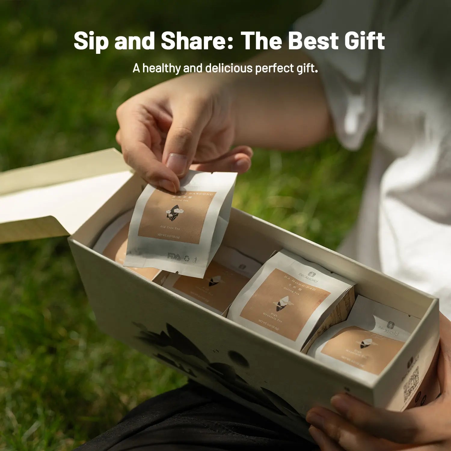 New Chinese Oolong Tea Sampler