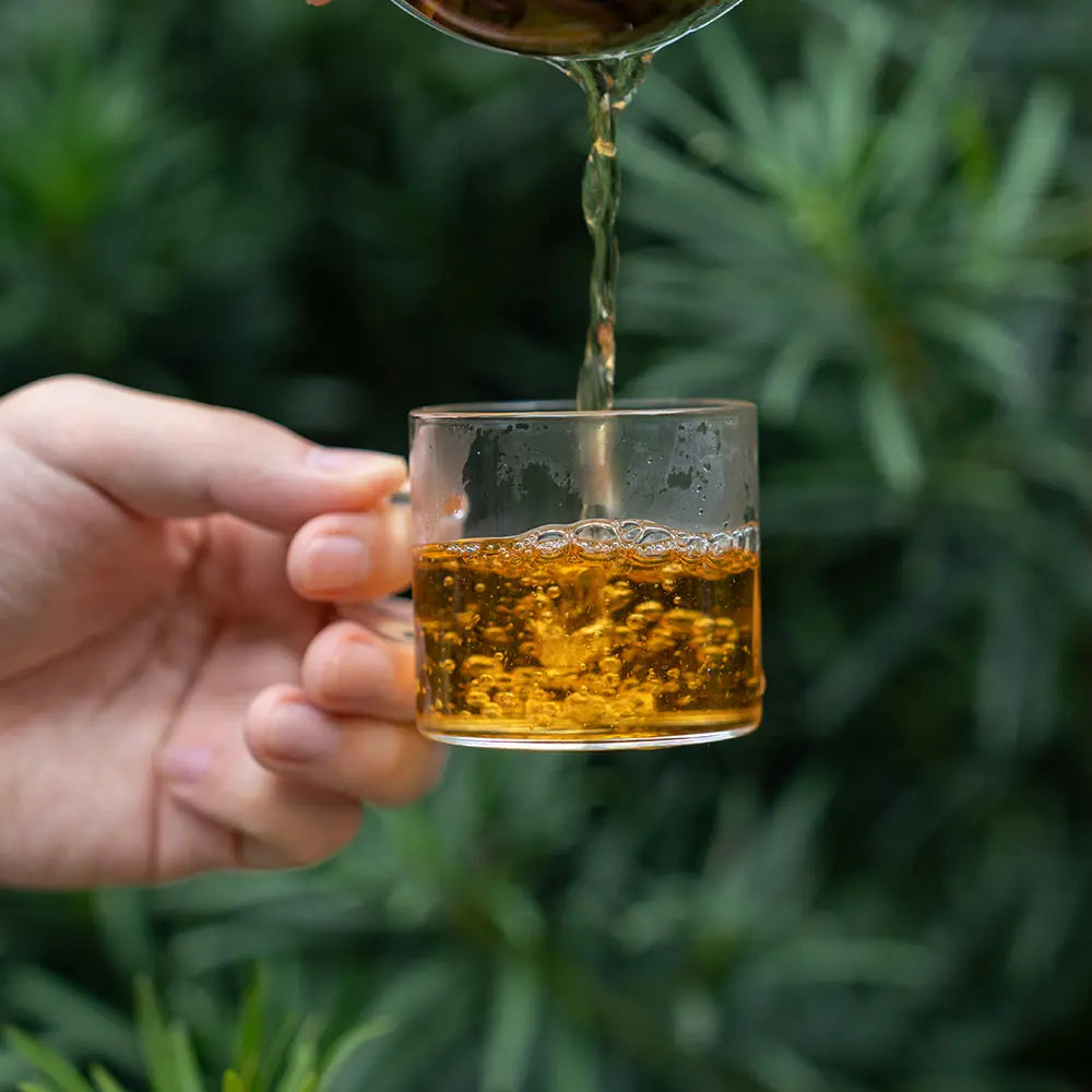 a beginner guide to loose tea