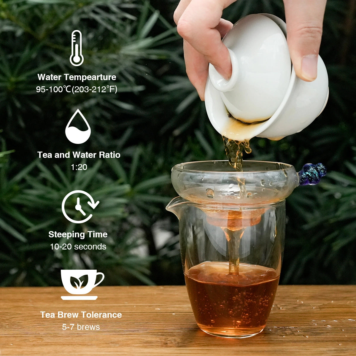 Chinese Wild Oolong Tea For After Meal