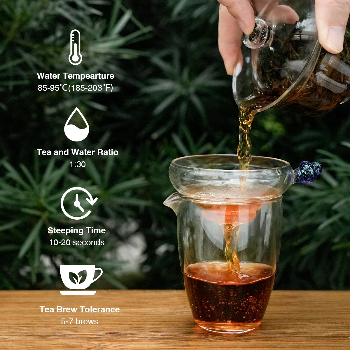Organic Wild Gongfu Black Tea | Floral Aroma, Sweet & Brisk| 50-Year-Old Trees - 900m High Daming Mountain | Light Fermentation (40G/80G) For Morning