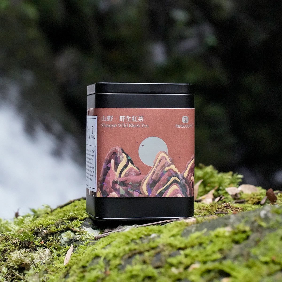 Organic Wild Gongfu Black Tea | Floral Aroma, Sweet & Brisk| 50-Year-Old Trees - 900m High Daming Mountain | Light Fermentation (40G/80G) For Morning