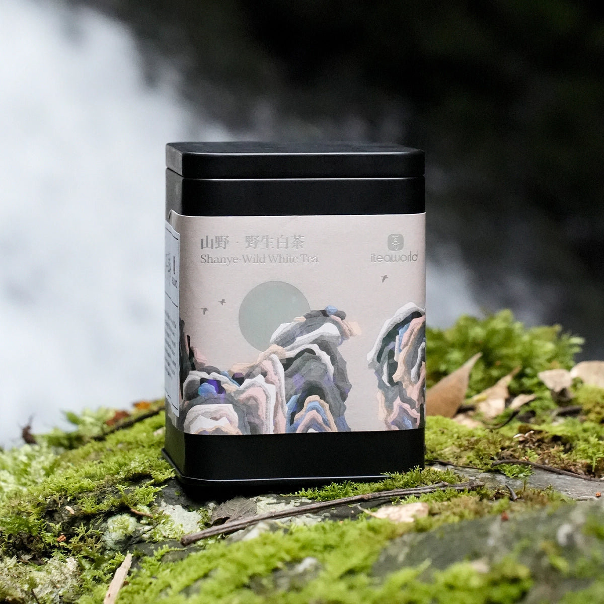 Chinese Wild White Tea From Fujian Fuding For Afternoon