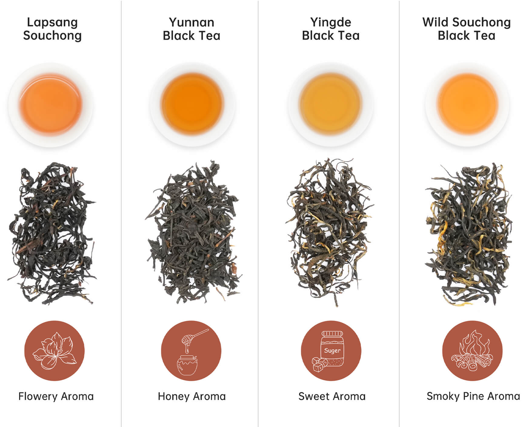Classic-Tea-Collection-black-Tea-aroma