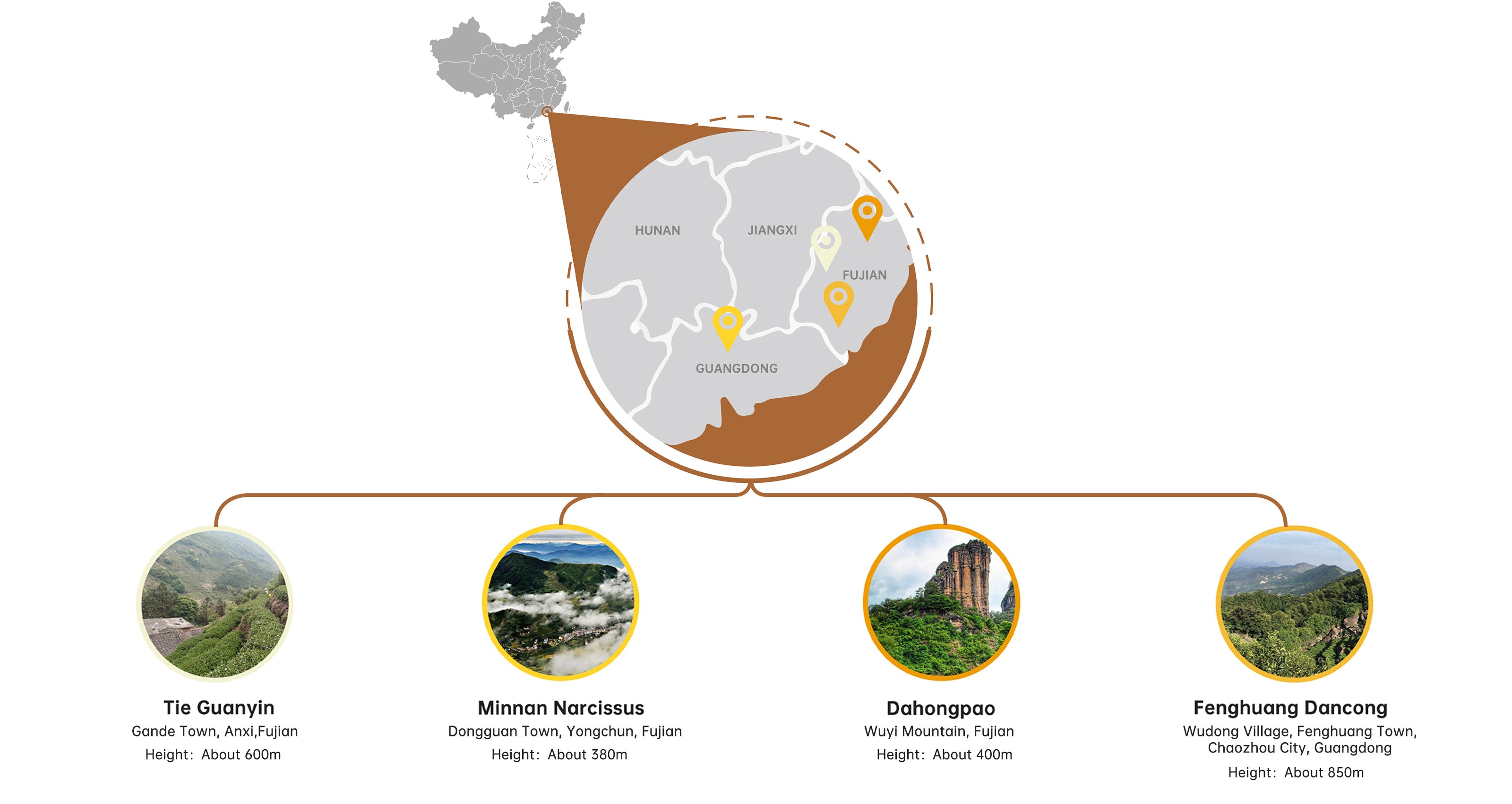 Origin-of-loose-leaf-tea-oolong-tea-selection