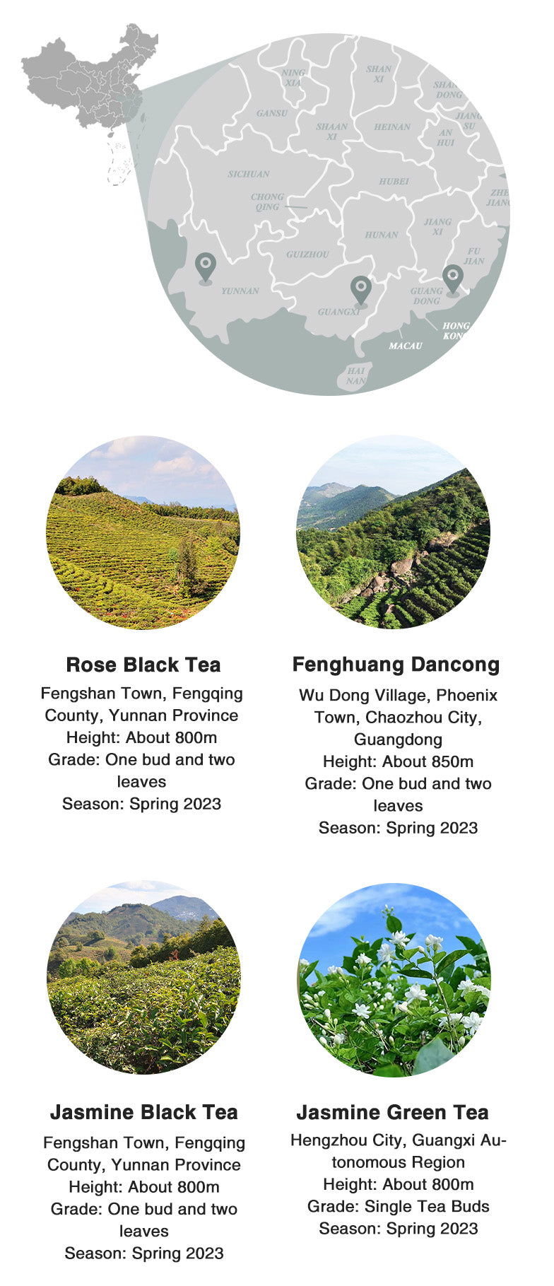 iced tea sampler origin and altitude