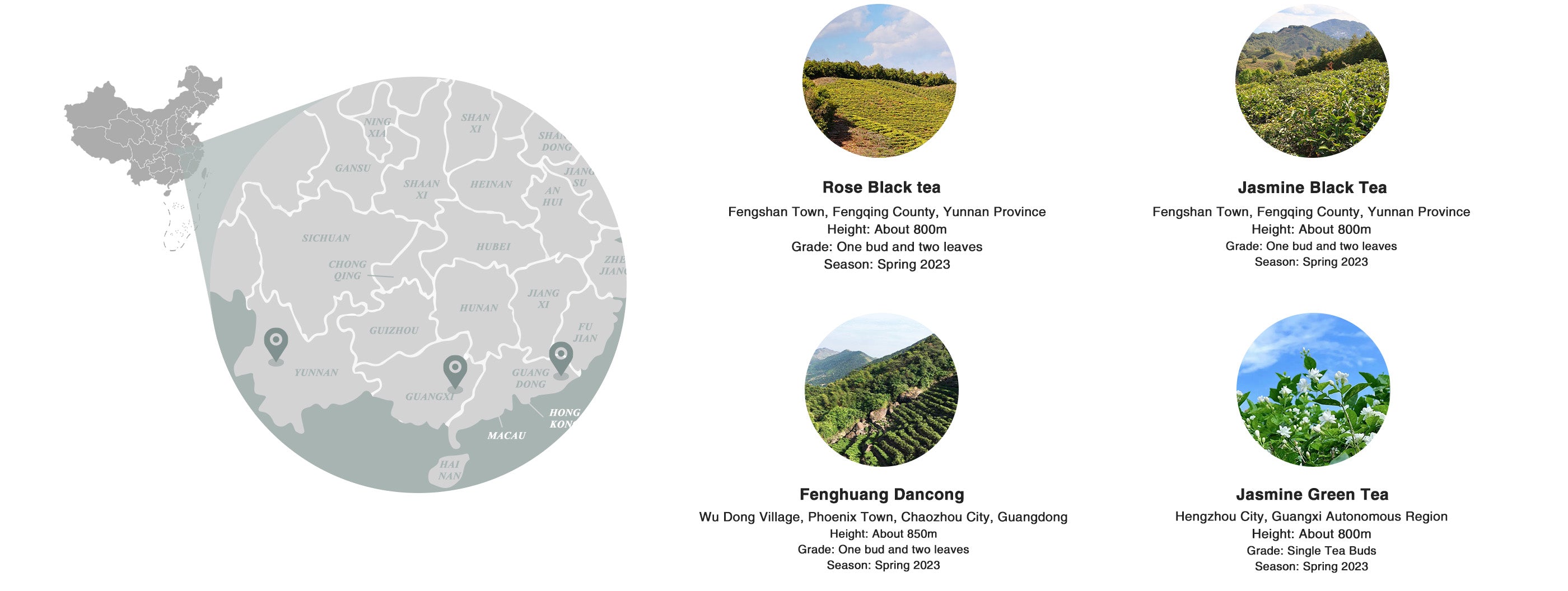 iced tea sampler origin and altitude