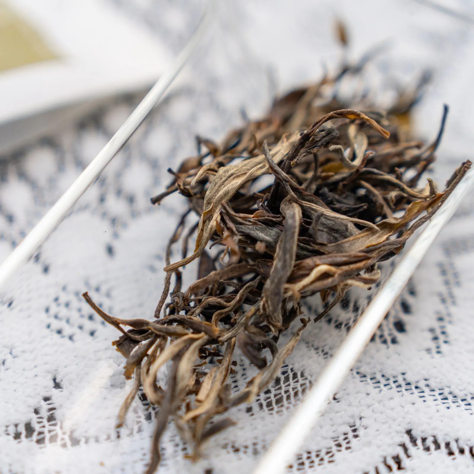 Premium Mellow, Sweet Old Tree Chinese Green Tea (one bud with two to three leaves) – Handpicked from 50-Year-Old Trees at 1600m, Mengku Lincang Yunnan | April 2024 Harvest, 3.5oz (100g) - High Value Choice
