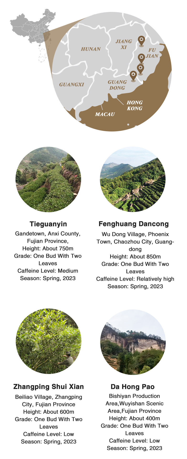 oolong tea sampler origin information and altitude