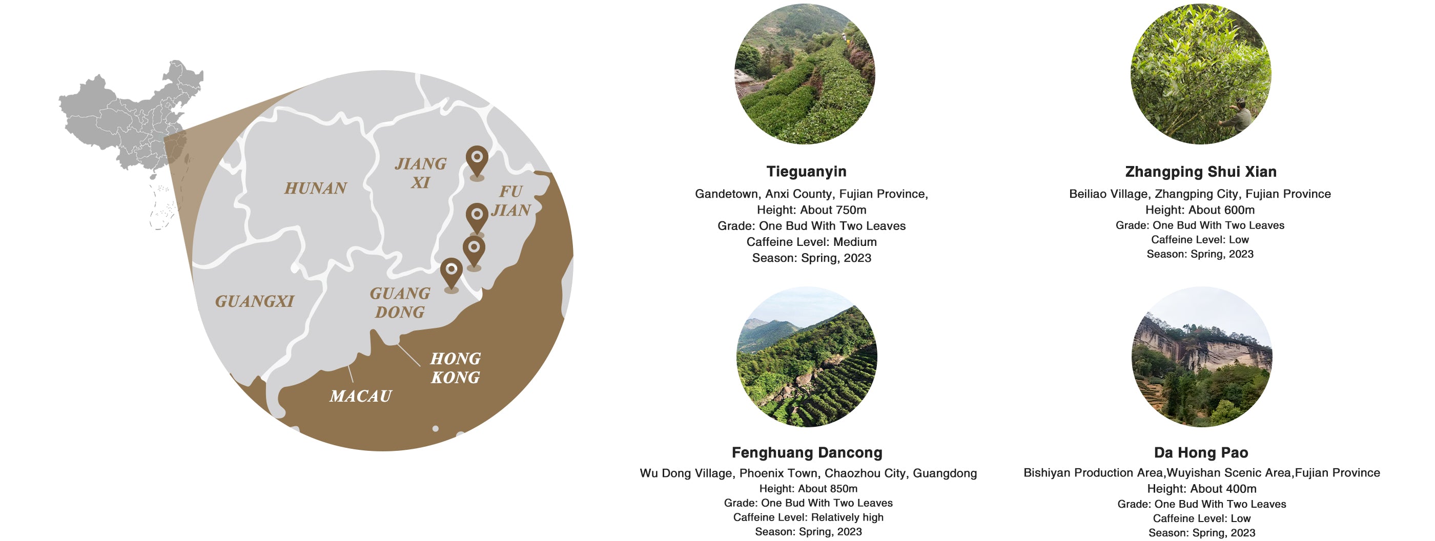 oolong tea sampler origin and altitude
