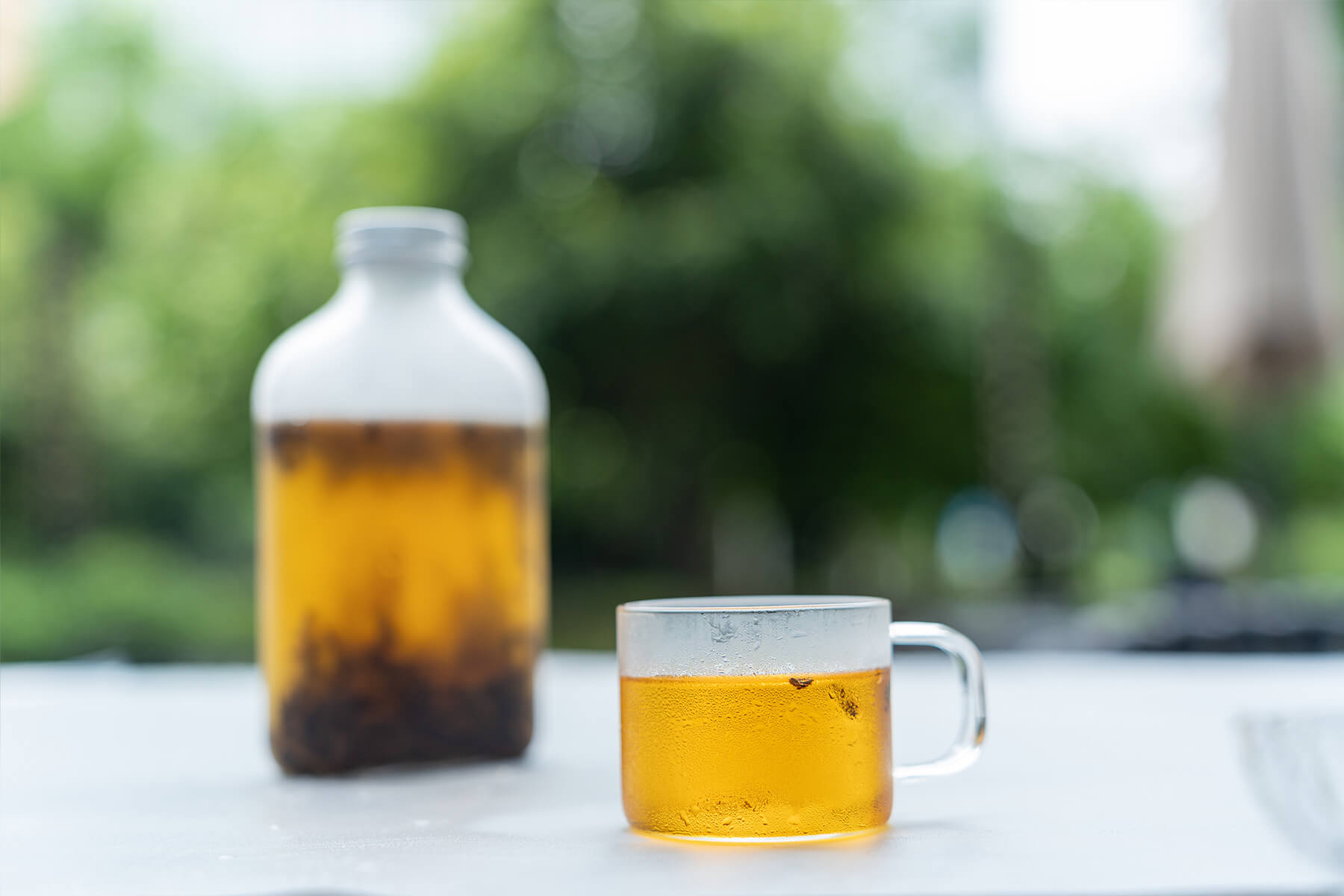 refrigerated-cold-brew-method-iced-tea