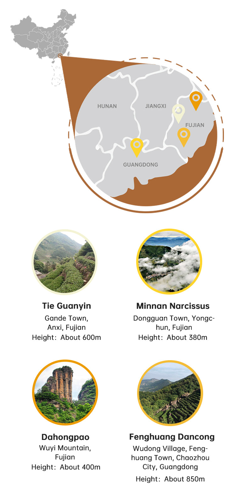 Origin-of-loose-leaf-tea-oolong-tea-selection