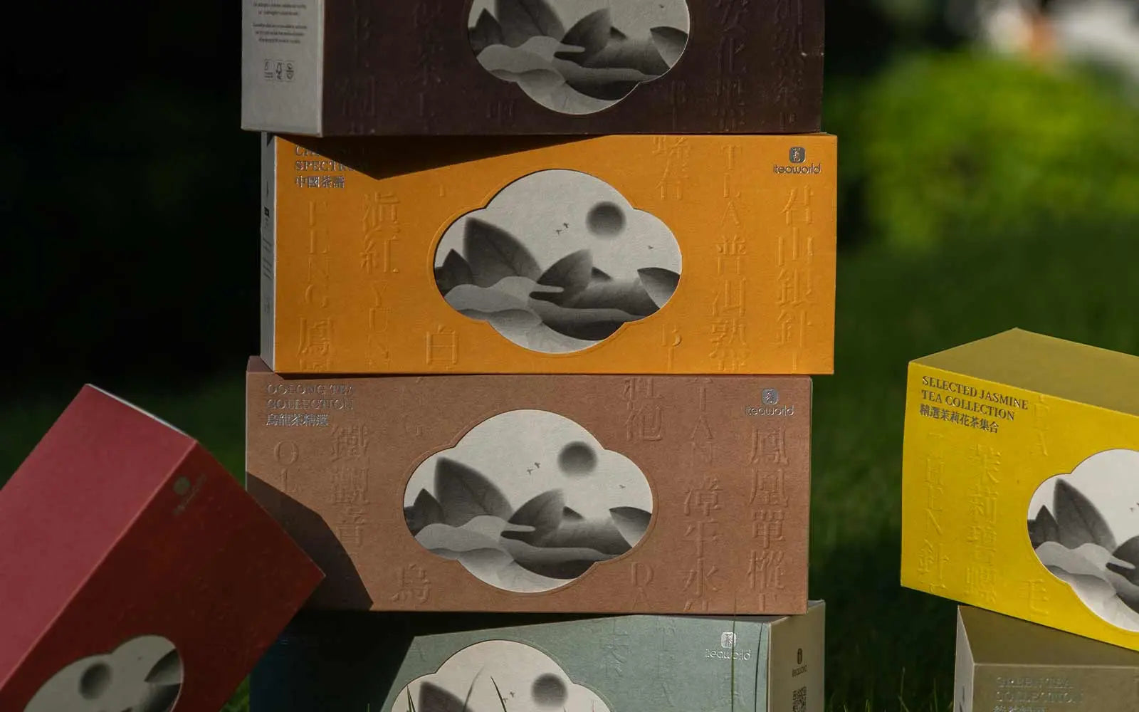 tea gift best tea for beginners