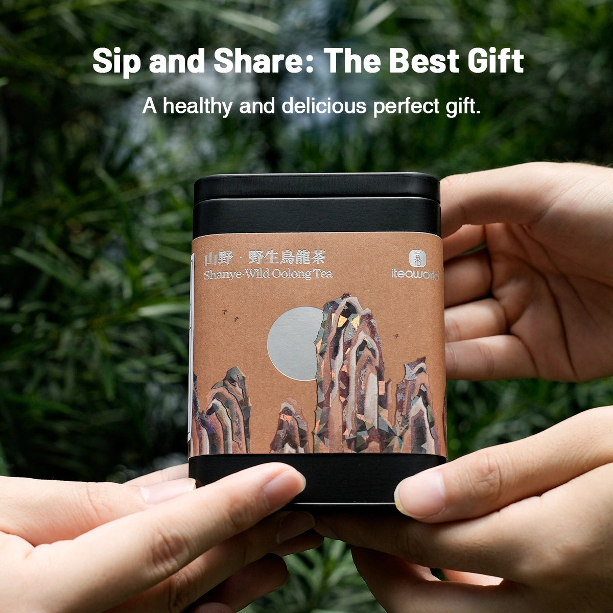 Chinese Wild Oolong Tea For After Meal